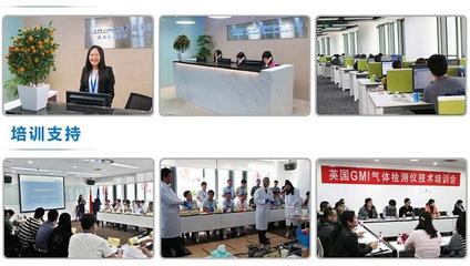 美國福祿克F319交直流數字鉗表 技術解析、選購指南與應用場景